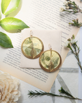 Sunlit Canopy No.1